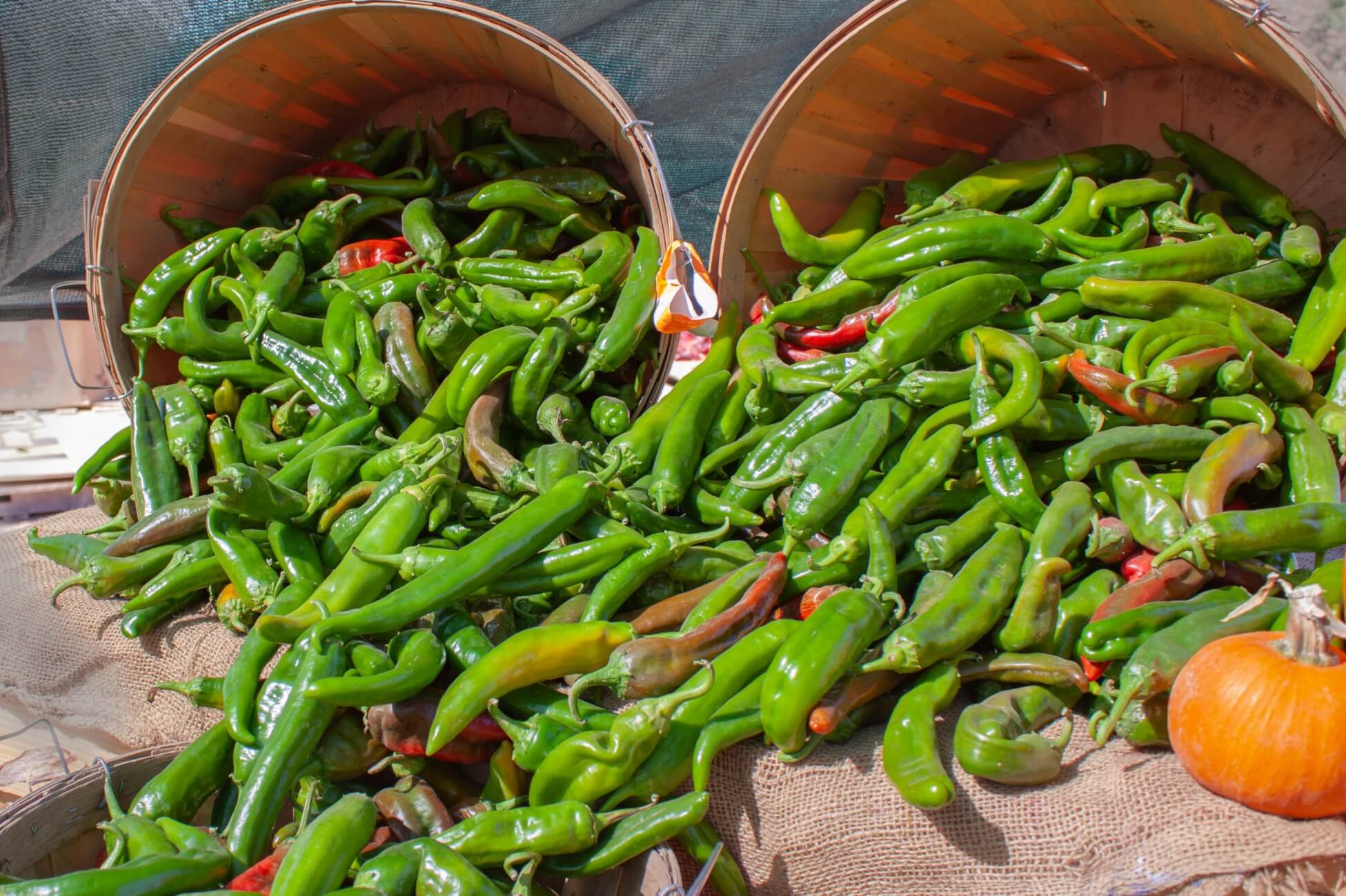 New Mexico Hatch Valley Green Chiles